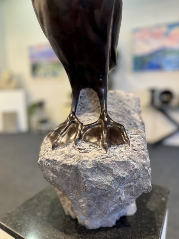 The Puffin of Valentia - Image 2