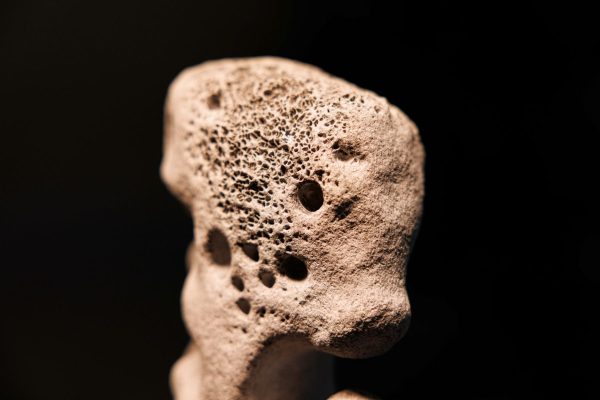 Eroded Voices - Image 4
