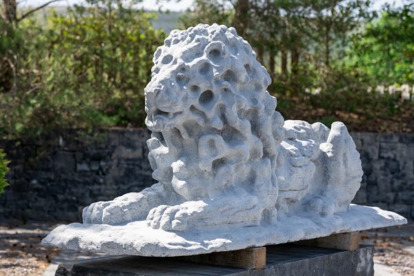 The Burren Lions - Image 5