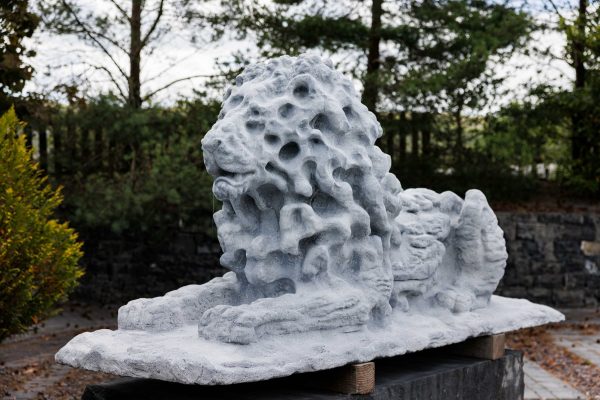 The Burren Lions - Image 6