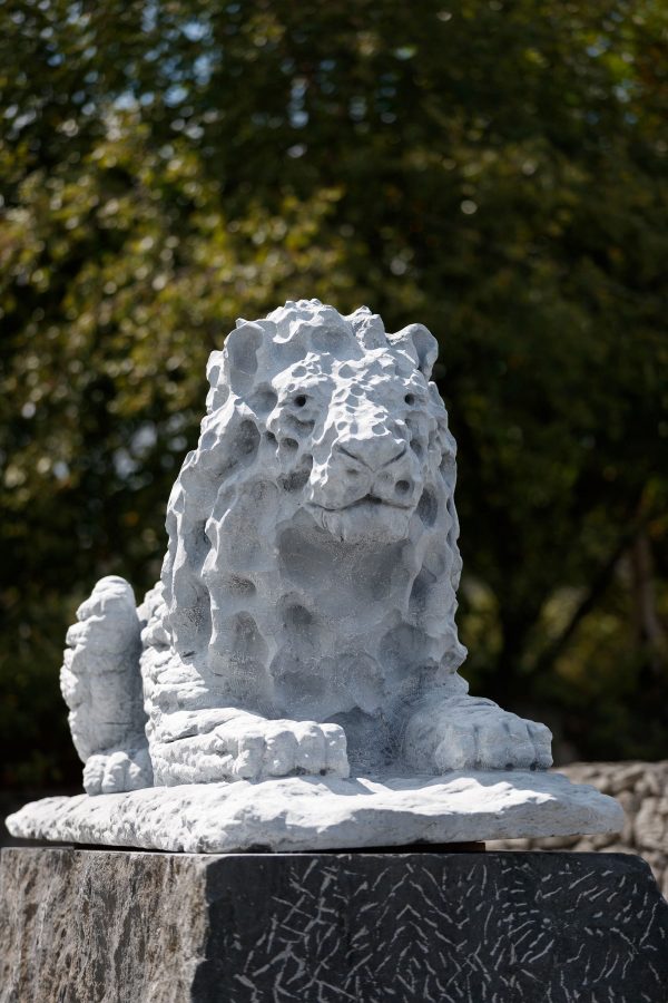 The Burren Lions - Image 7