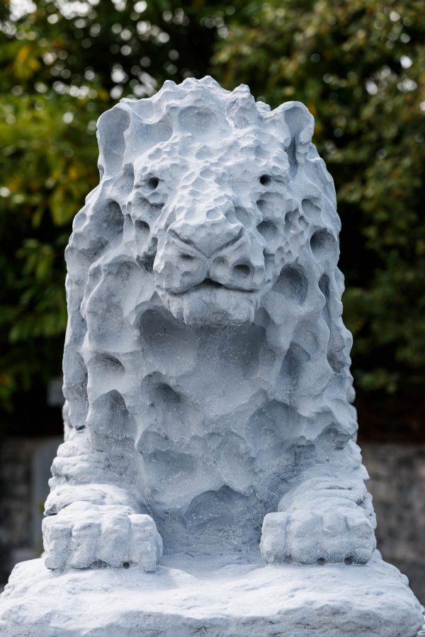 The Burren Lions - Image 2