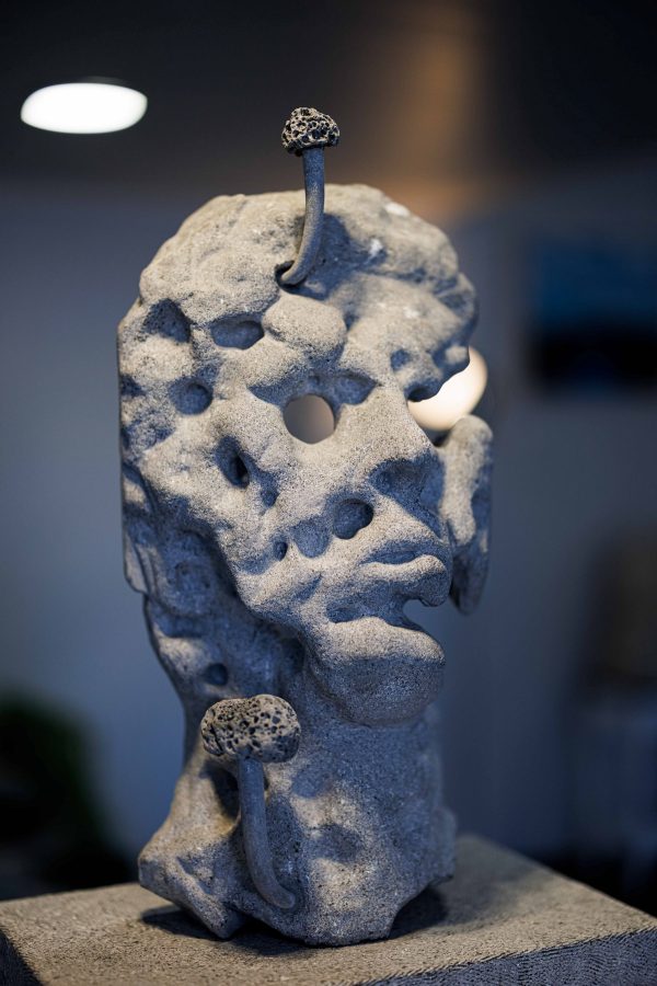 The Emperor Decomposing - Image 5